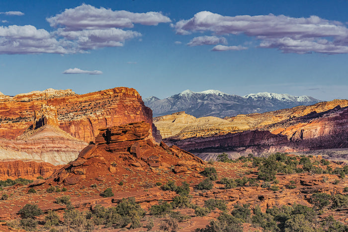 Water Pocket Fold and the Henry Mountains, 2025, archival print, 16 x 24 in. / 40.64 x 60.96 cm.