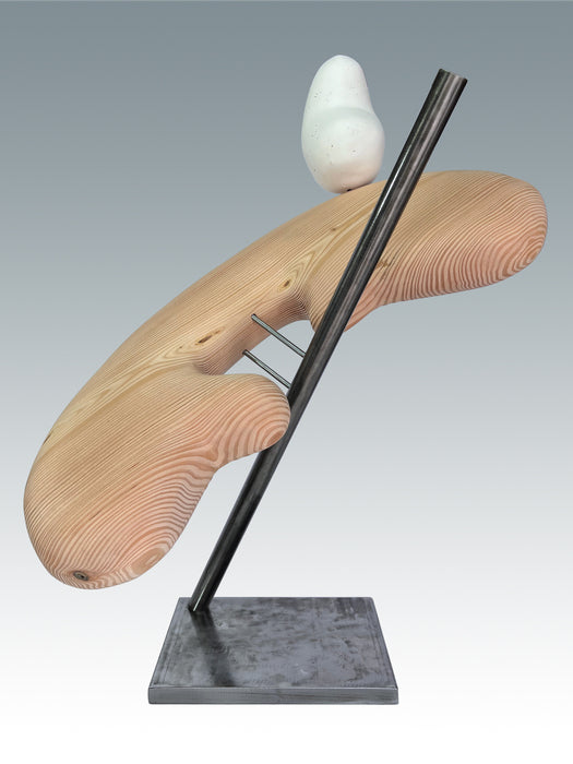 Dove in Buluc Chabtan's Garden, 2025, mixed media, 21 x 28 x 14 in. / 53.34 x 71.12 x 35.56 cm.