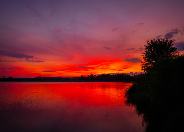 Crimson Silence, 2025, photography, 21 x 15 in. / 53.34 x 38.1 cm.