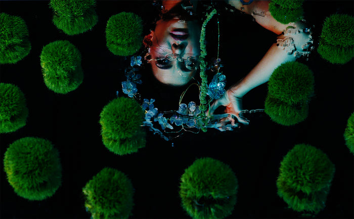 Verdant Oracle I, 2025, photography, 24 x 36 in. / 60.96 x 91.44 cm.