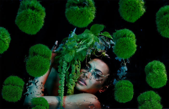 Verdant Oracle II, 2025, photography, 24 x 36 in. / 60.96 x 91.44 cm.