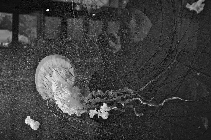 Jellyfish and Lady in Burqa, 2015, archival photo, 16 x 24 in. / 40.64 x 60.96 cm.