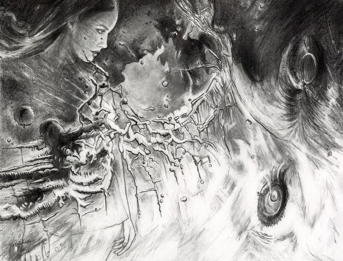 Things Marvelous to Behold, 2025, graphite on paper, 16 x 20 in. / 40.64 x 50.8 cm.