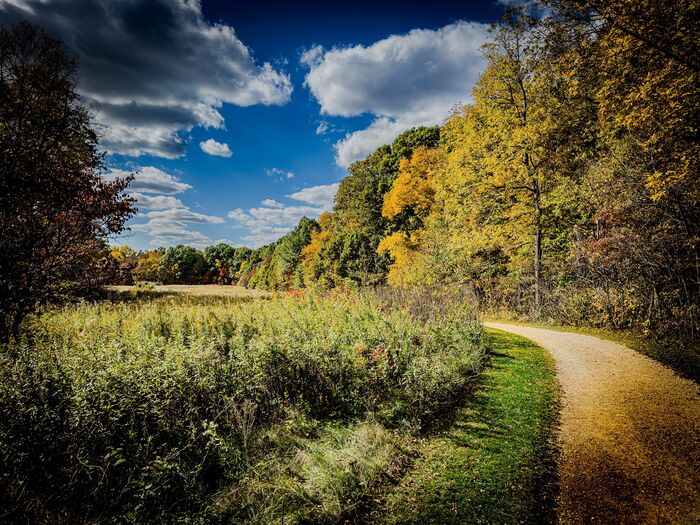 Long View of Quiet, 2025, canvas print with pigment inks, 21 x 27 in. / 53.34 x 68.58 cm.