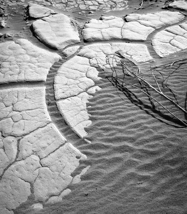 Sans Requiem XV, 2025, analog photography, 14 x 11 in. / 35.56 x 27.94 cm.
