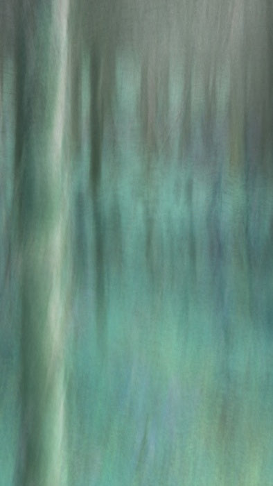 The Forest, 2025, digital photography, 80 x 45 cm. / 31.4 x 17.7 in.