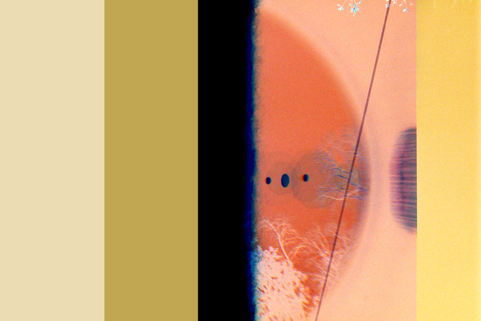 Transitory Space, Prospect Park, Brooklyn, NYC #8B, 2022, color photography, 11 x 14 in. / 27.94 x 35.56 cm.