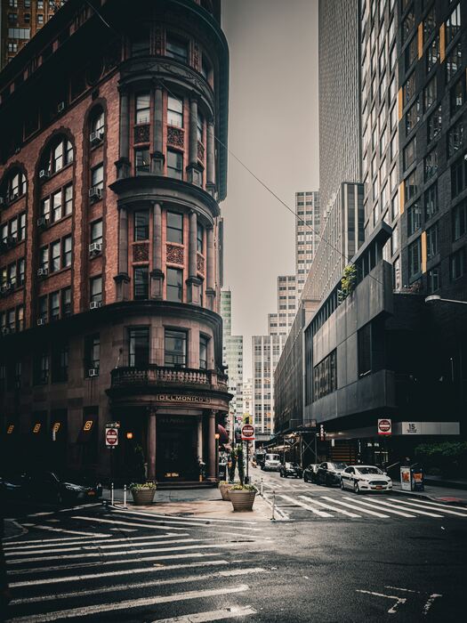 Shape of the Past, 2025, canvas print with pigment inks, 21 x 27 in. / 53.34 x 68.58 cm.