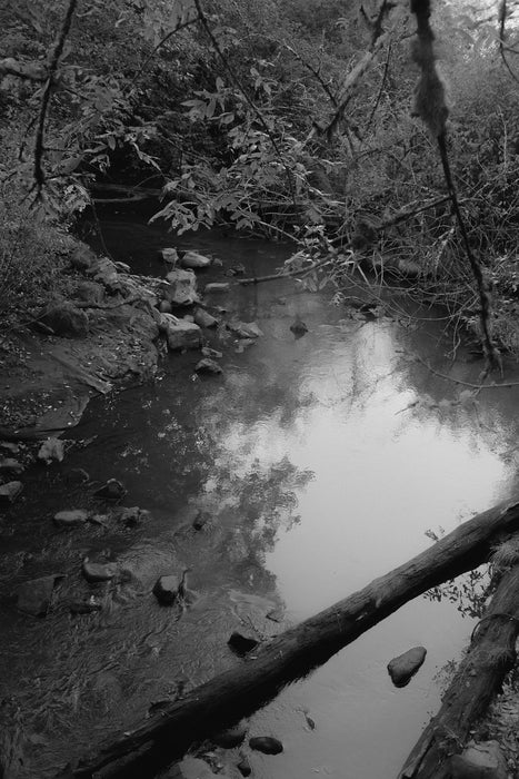 Untitled 01 (To a Land Unknown), 2024, inkjet print, 13 x 19 in. / 33.02 x 48.26 cm.