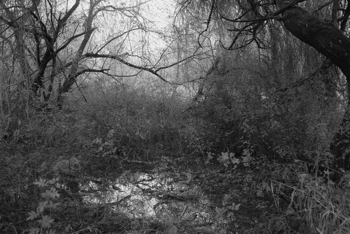 Untitled 04 (To a Land Unknown), 2025, inkjet print, 13 x 19 in. / 33.02 x 48.26 cm.