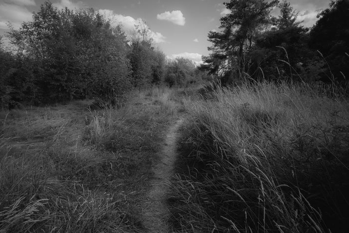 Untitled 08 (To a Land Unknown), 2024, inkjet print, 13 x 19 in. / 33.02 x 48.26 cm.