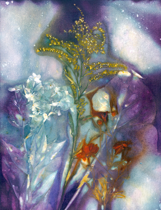 Goldenrod and White Phlox, 2025, mixed media, 12 x 9 in. / 30.48 x 22.86 cm.