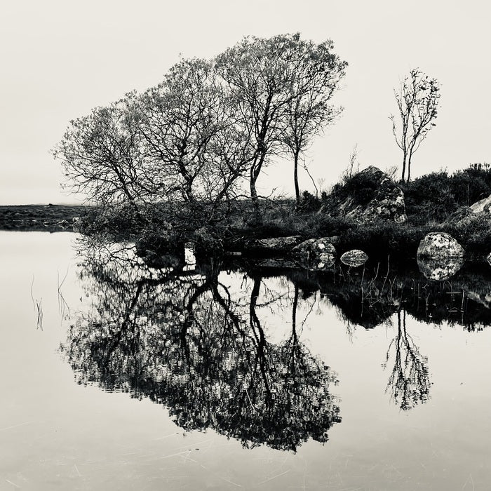 The Mirror, 2025, digital photography, 60 x 60 cm. / 23.62 x 23.62 in.