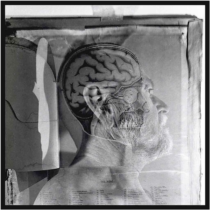 THE HEAD, 2020, photography, 14 x 14 in. / 35.56 x 35.56 cm.