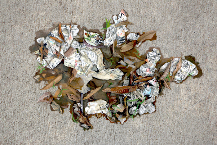 Accretion, 2025, oil and colored pencil on plastic, 18 x 24 in. / 45.72 x 60.96 cm.