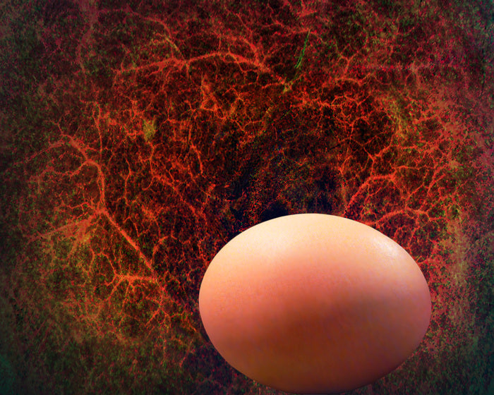 Egg with Fractals, 2026, ultrachrome print, 8 x 10 in. / 20.32 x 25.4 cm.