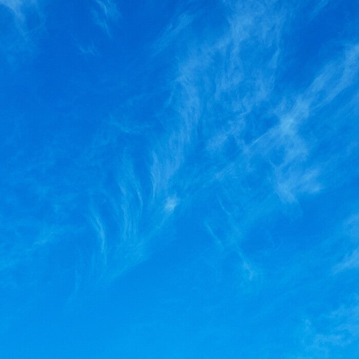 Wisps, 2023, photography, 10 x 10 in. / 25.4 x 25.4 cm.