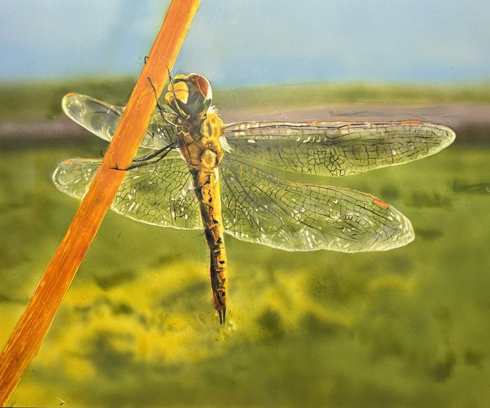 Quick Stop, 2025, mixed media, 10 x 13 in. / 25.4 x 33.02 cm.