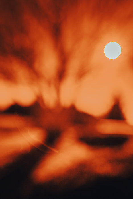 Doughton Red, 2025, photography, 18 x 12 in. / 45.72 x 30.48 cm.