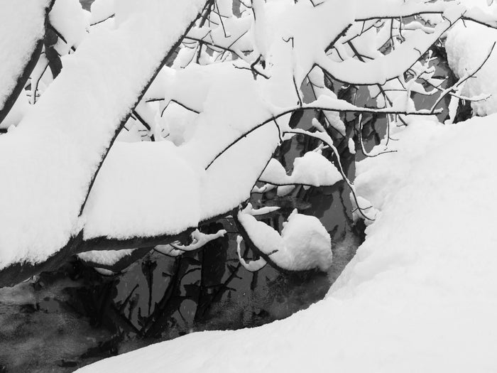 Frozen Stream 2, 2026, archival photographic print, 16 x 20 in. / 40.64 x 50.8 cm.