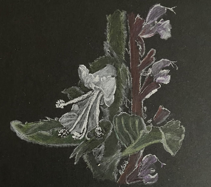 Beautiful Remains, 2026, charcoal, 4 x 4 in. / 10.16 x 10.16 cm.