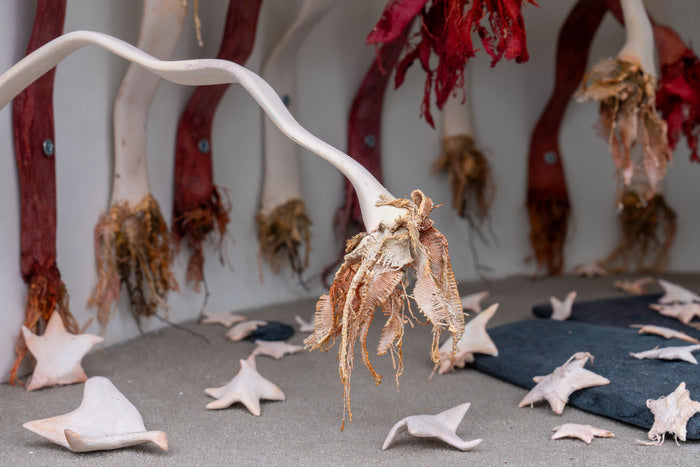 Wilted, 2026, mixed media, 15 x 17 in. / 38.1 x 43.18 cm.