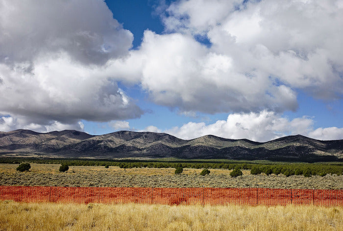 Orange Fence, 2010, photograph, 14 x 20 in. / 35.56 x 50.8 cm.