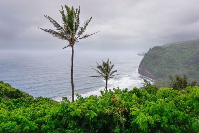 Breath of Life at Pololu Valley, 2026, photography, 12 x 18 in. / 30.48 x 20.32 cm.