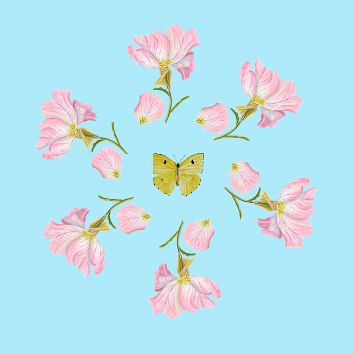Morning Waltz, 2026, acrylic, 30 x 30 in. / 76.2 x 76.2 cm.