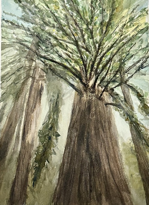 Sheltered, 2025, watercolor, 12 x 9 in. / 30.48 x 22.86 cm.