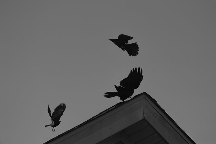 A Curve of Yang, 2023, photography, 9 x 14 in. / 22.86 x 35.56 cm.