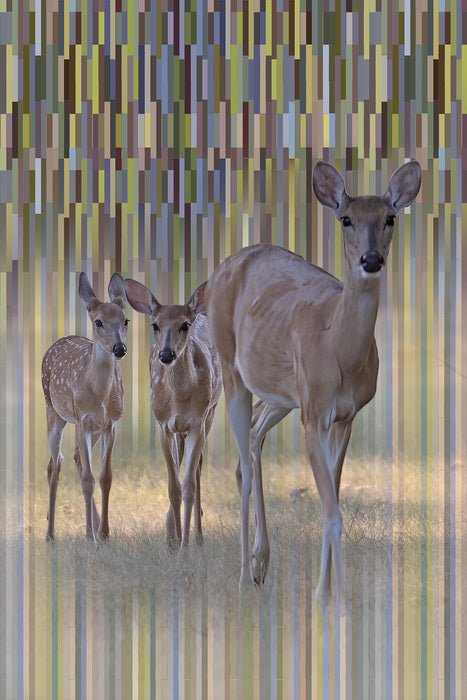 Twins_Coming Out, 2026, digital photography, 21 x 27 in. / 53.34 x 68.58 cm.