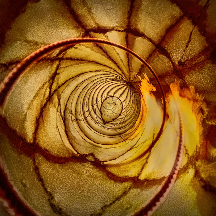 Ascent, 2026, photography on metal, 30 x 30 in. / 76.2 x 76.2 cm.