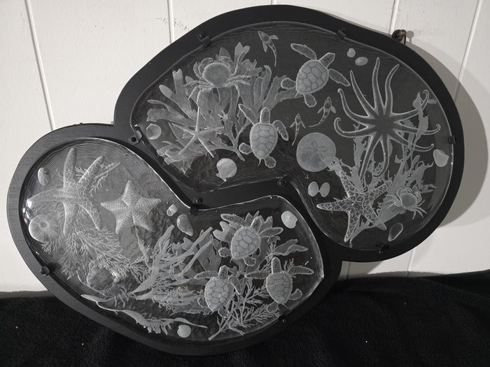 Sea Life, 2026, glass, 18 x 24 in. / 45.72 x 60.96 cm.
