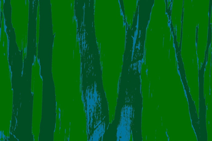 Trees Number 2, 2023, photography, 11 x 14 in. / 27.94 x 35.56 cm.