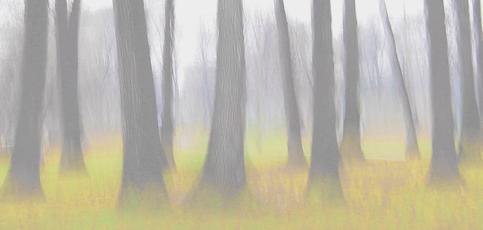 Kew, 2022, digital photography, 23 x 48 in. / 58.42 x 121.92 cm.