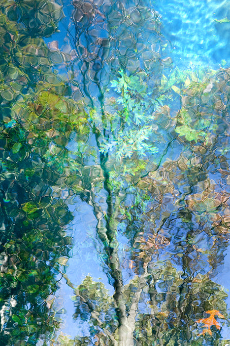 Water-Colour, 2020, digital photography, 48 x 36 in. / 121.92 x 91.44 cm.