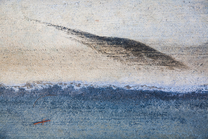 Swordfish, 2015, digital photography, 12 x 18 in. / 30.48 x 20.32 cm.