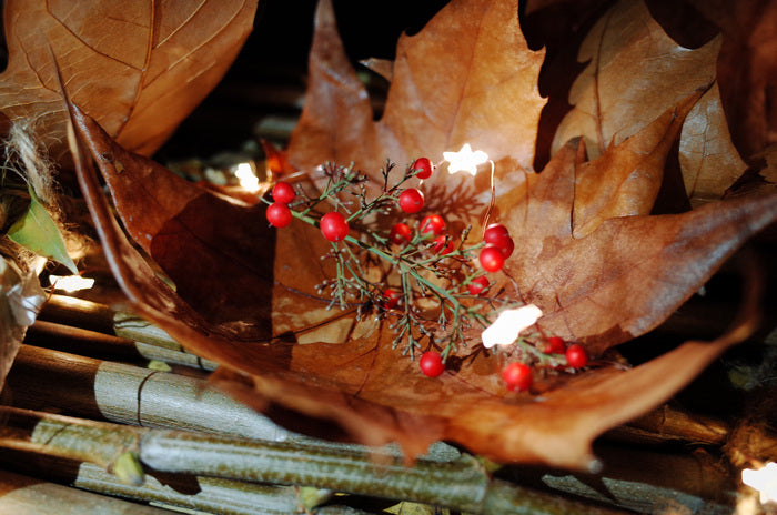 Whispers of Autumn, 2024, installation, 40 x 120 x 60 cm. / 15.7 x 47.2 x 23.6 in.