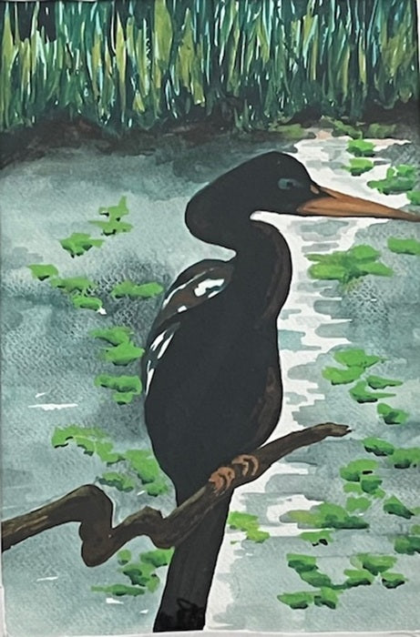 Anhinga Afternoon, 2024, watercolor, 11 x 15 in. / 27.94 x 38.1 cm.