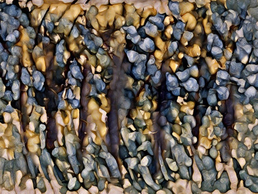 Symphony of Patterns in Motion, 2025, mixed media, 12 x 16 in. / 30.48 x 40.64 cm.