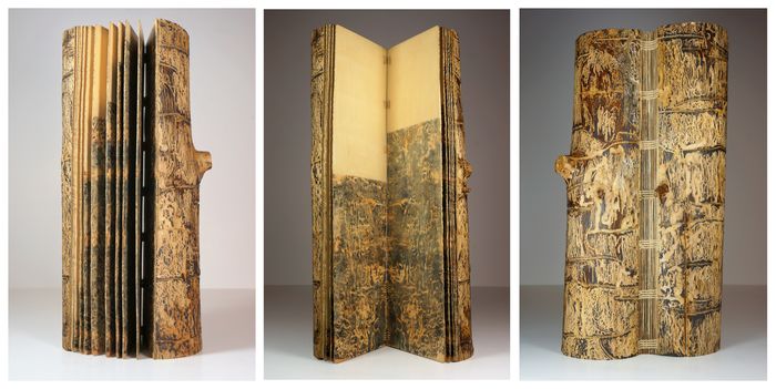 Bark Beetle Book, Vol. XIV: Ars Datum Est, 2017, artist book, 16 x 3.5 x 3.5 in. / 40.64 x 8.89 x 8.89 cm.