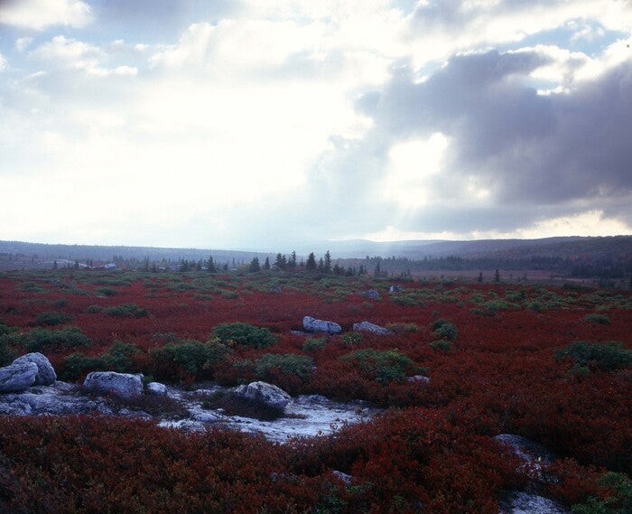 Bear Rock, West Virginia, 2013, digital photography, 30 x 35 in. / 76.2 x 88.9 cm.
