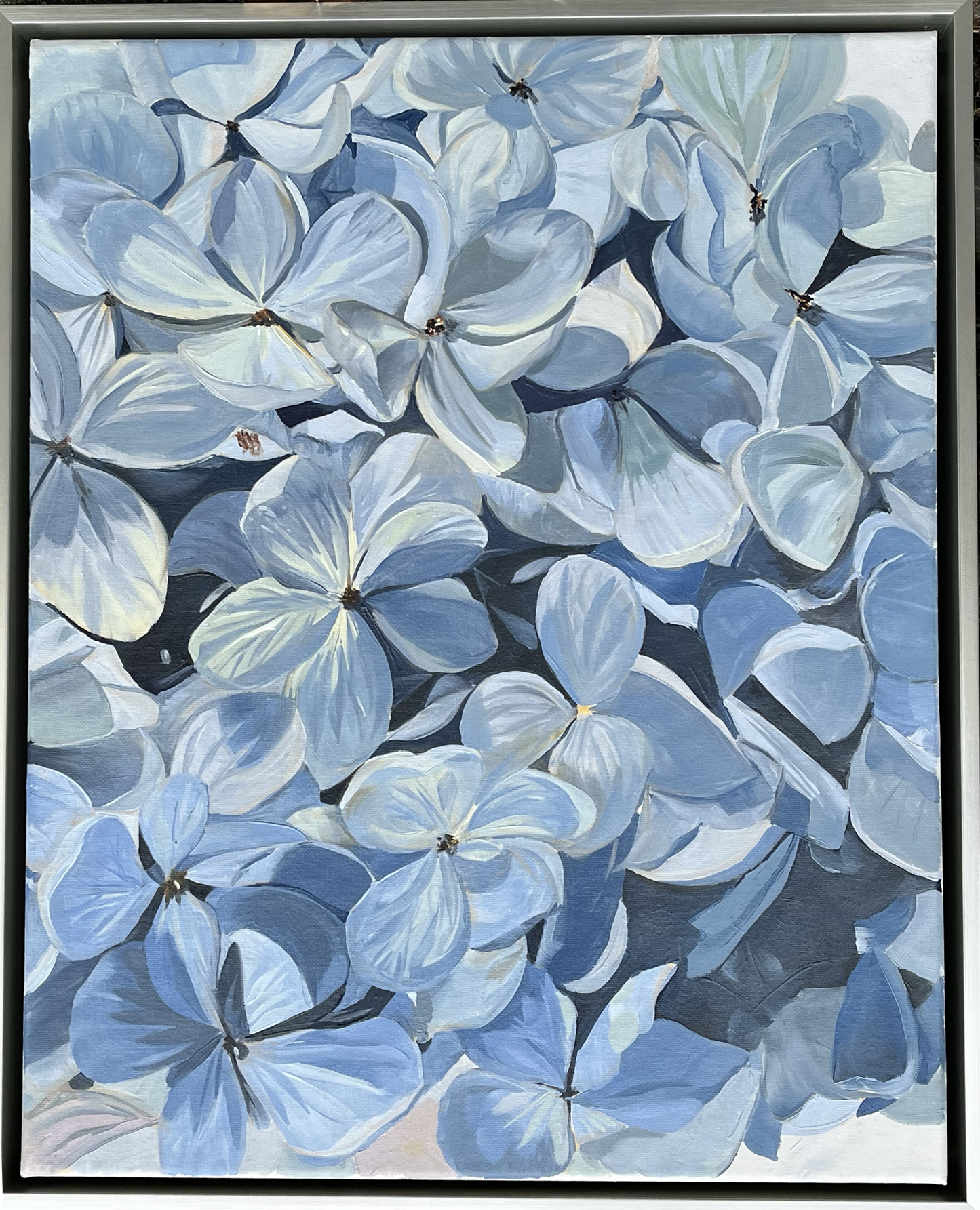 Blue Hydrangea 2, 2024, oil, 16 x 20 in. / 40.64 x 50.8 cm.