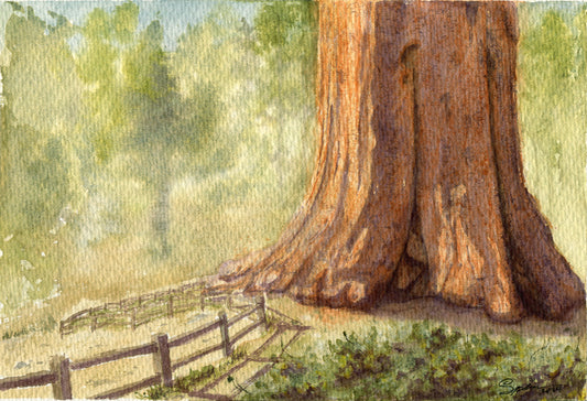 Meeting General Sherman, 2024, watercolor on cold press, 10 x 7 in. / 25.4 x 17.78 cm.