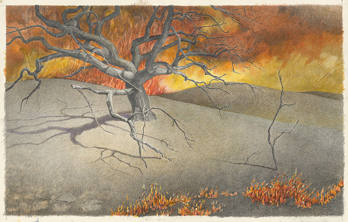 Burn Field 3 - Woolsey Fire, 2020, colored pencil, 20 x 32 in. / 50.8 x 81.28 cm.