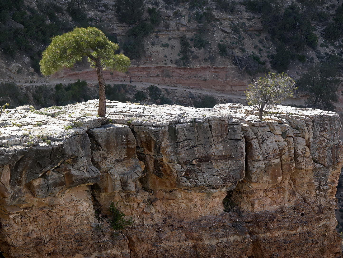 Cliff of the Shadowed Wall, 2012, photography, 11 x 14 in. / 27.94 x 35.56 cm.