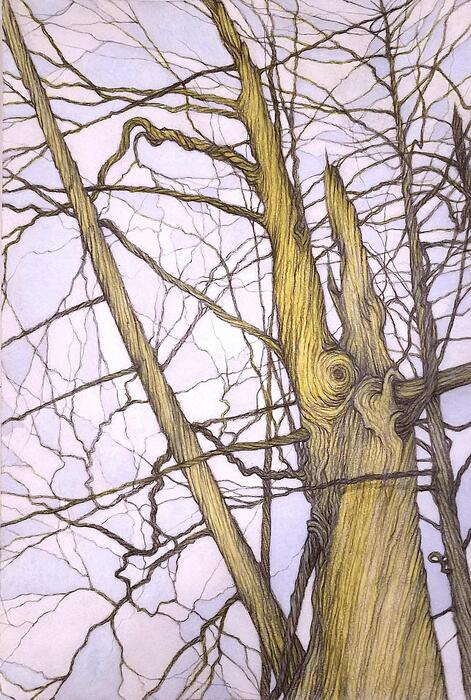 Connected Tree Italy, 2024, mixed media on hardboard, 18 x 12 in. / 45.72 x 30.48 cm.