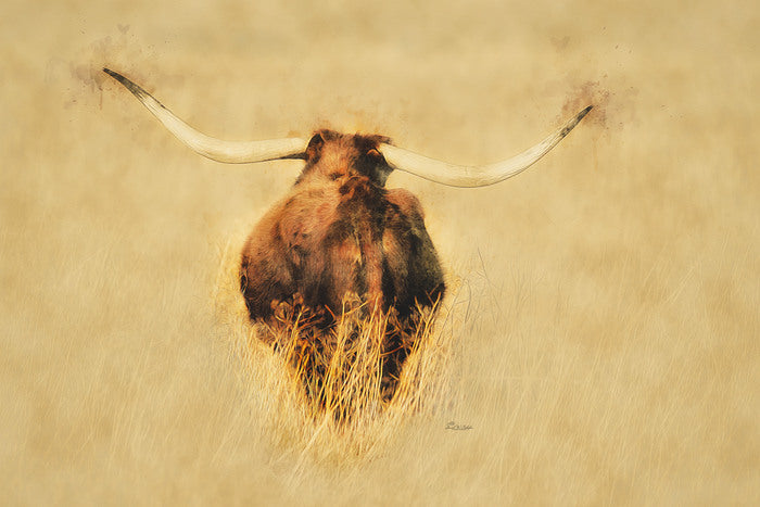 Longhorn Rearview, 2024, photography, 12 x 18 in. / 30.48 x 20.32 cm.