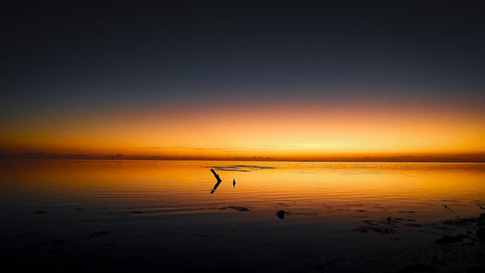 Dawn at the Ferry Landing - No Name Key 2023, 2023, photography, 14 x 24 in. / 35.56 x 60.96 cm.